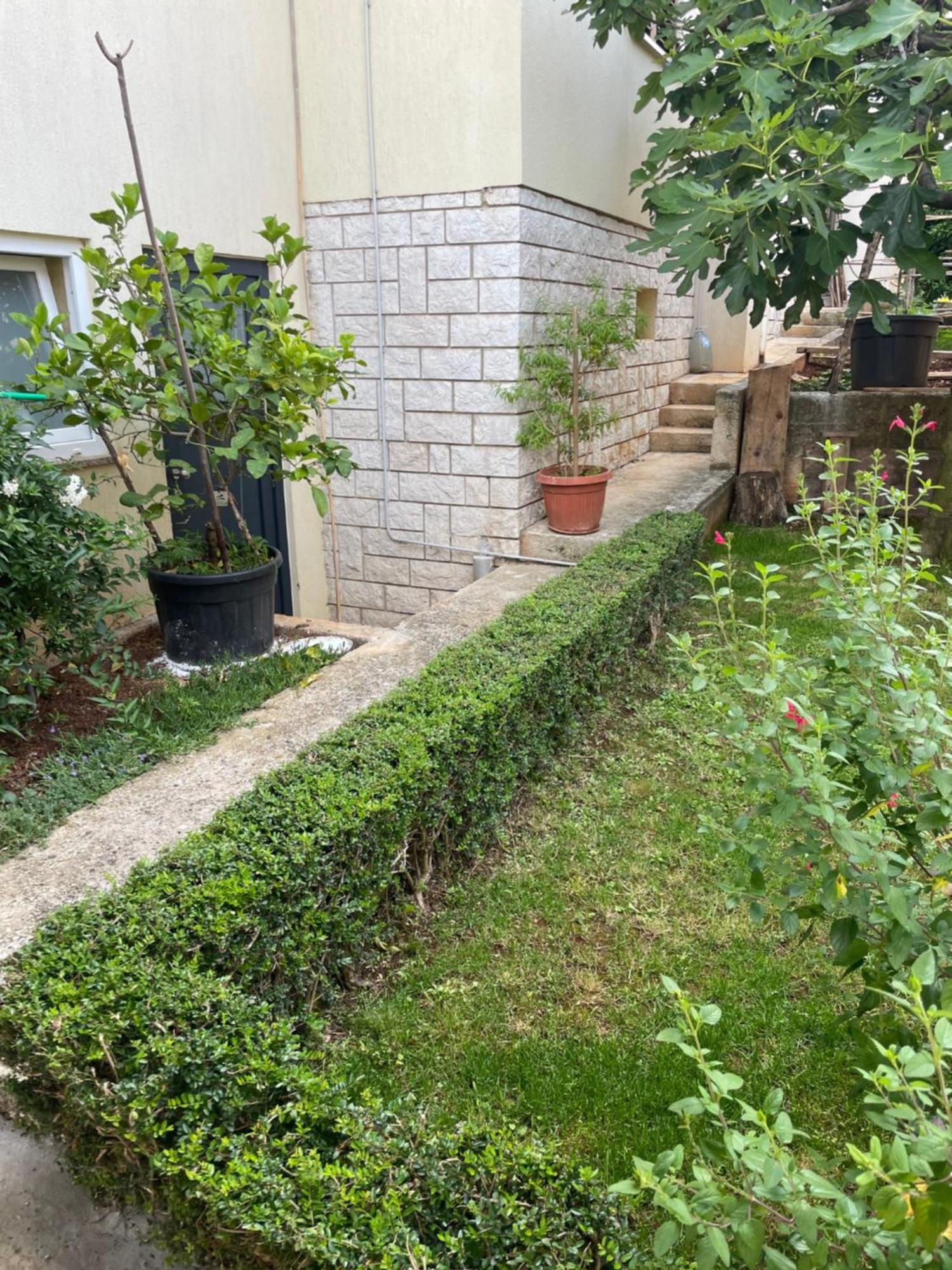 Apartmani Darko Rovinj Exteriér fotografie